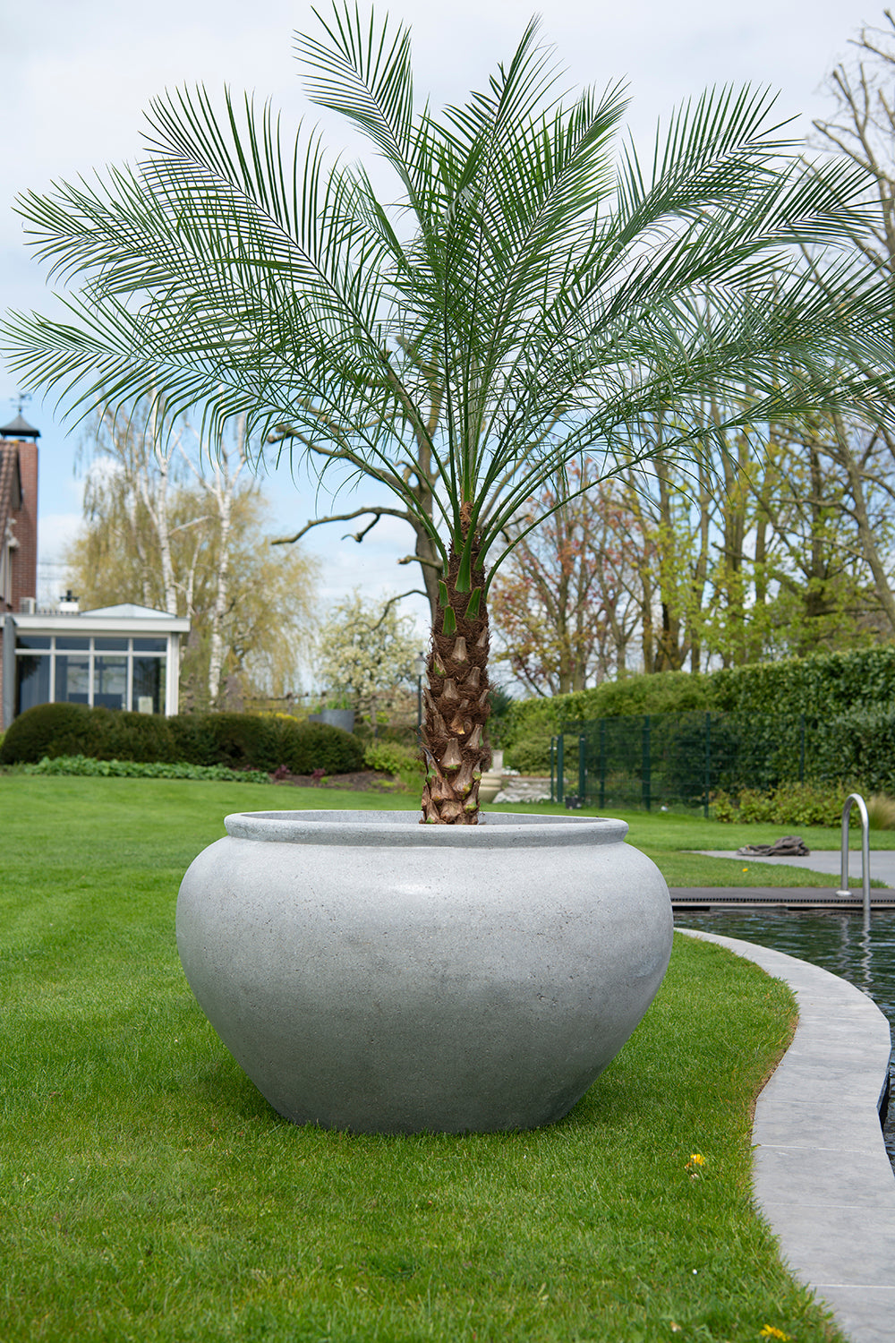 MBShoots_DSC2198_Plantenbakkenweb