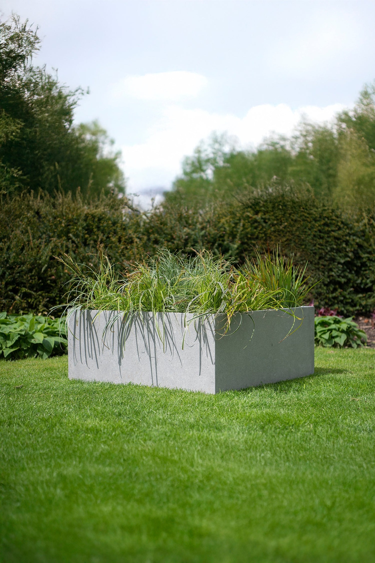 MBShoots_DSC2357_Plantenbakkenweb2