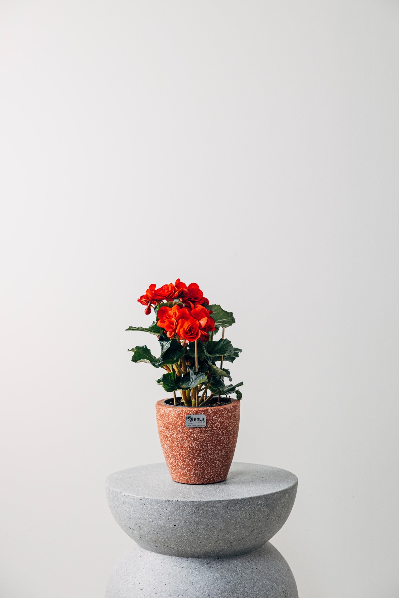 20240201-_N2A5453