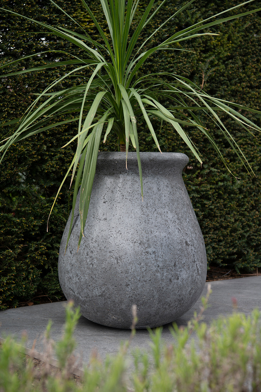 MBShoots_DSC2222_Plantenbakkenweb