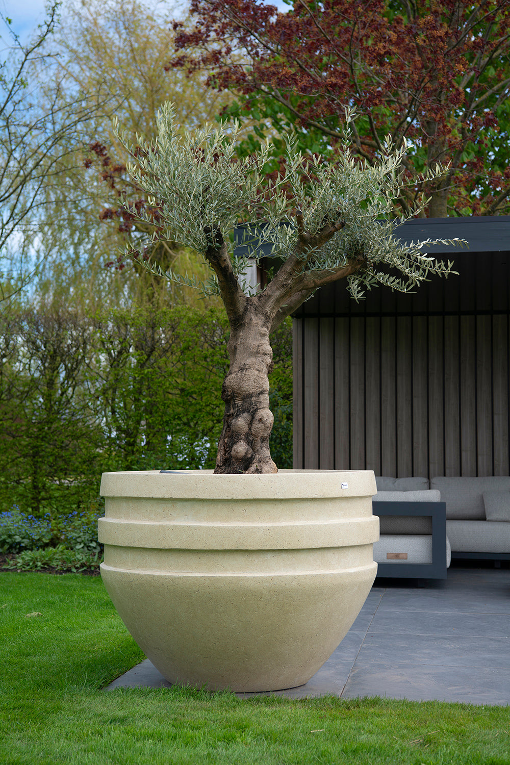 MBShoots_DSC2175_Plantenbakkenweb