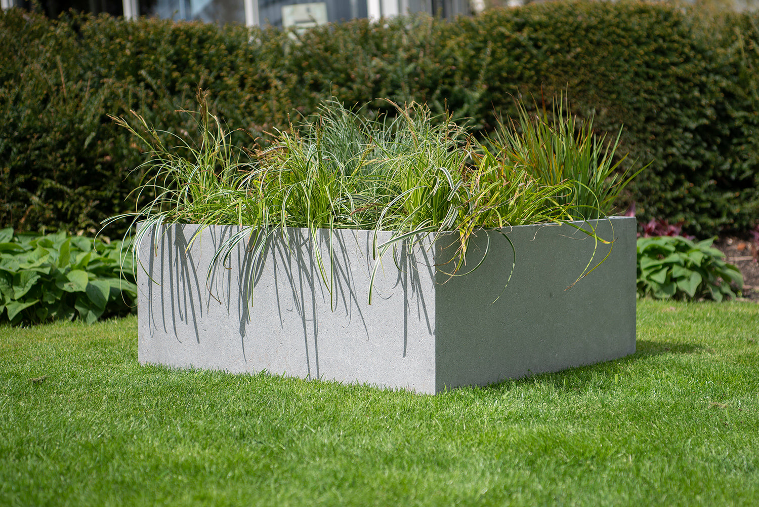 MBShoots_DSC2357_Plantenbakkenweb