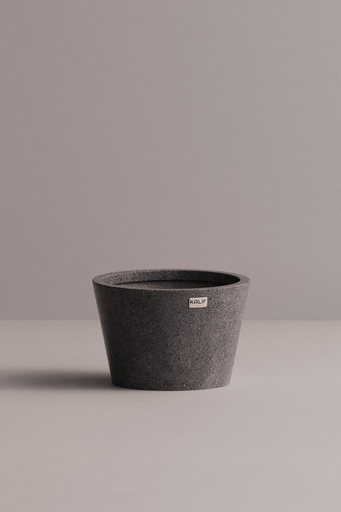 Flora