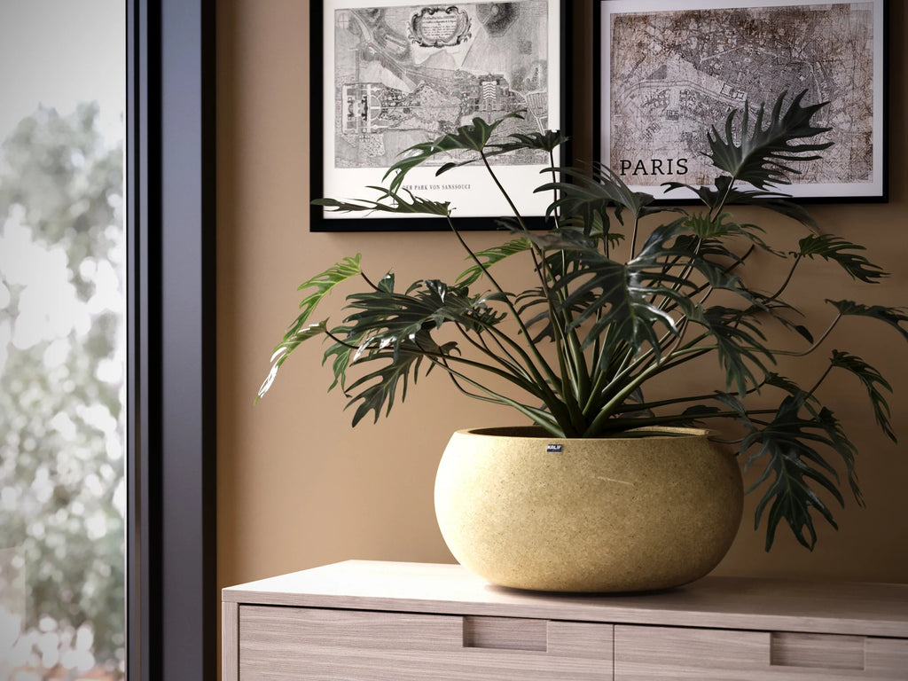 coffee table en floor flower pot Model pan