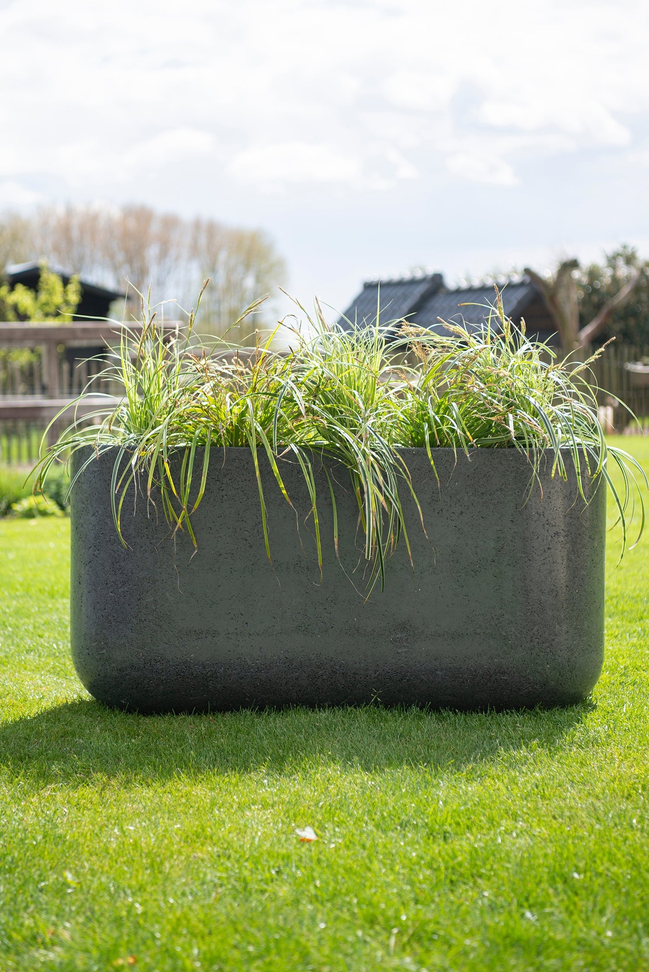 MBShoots_DSC2412_Plantenbakkenweb