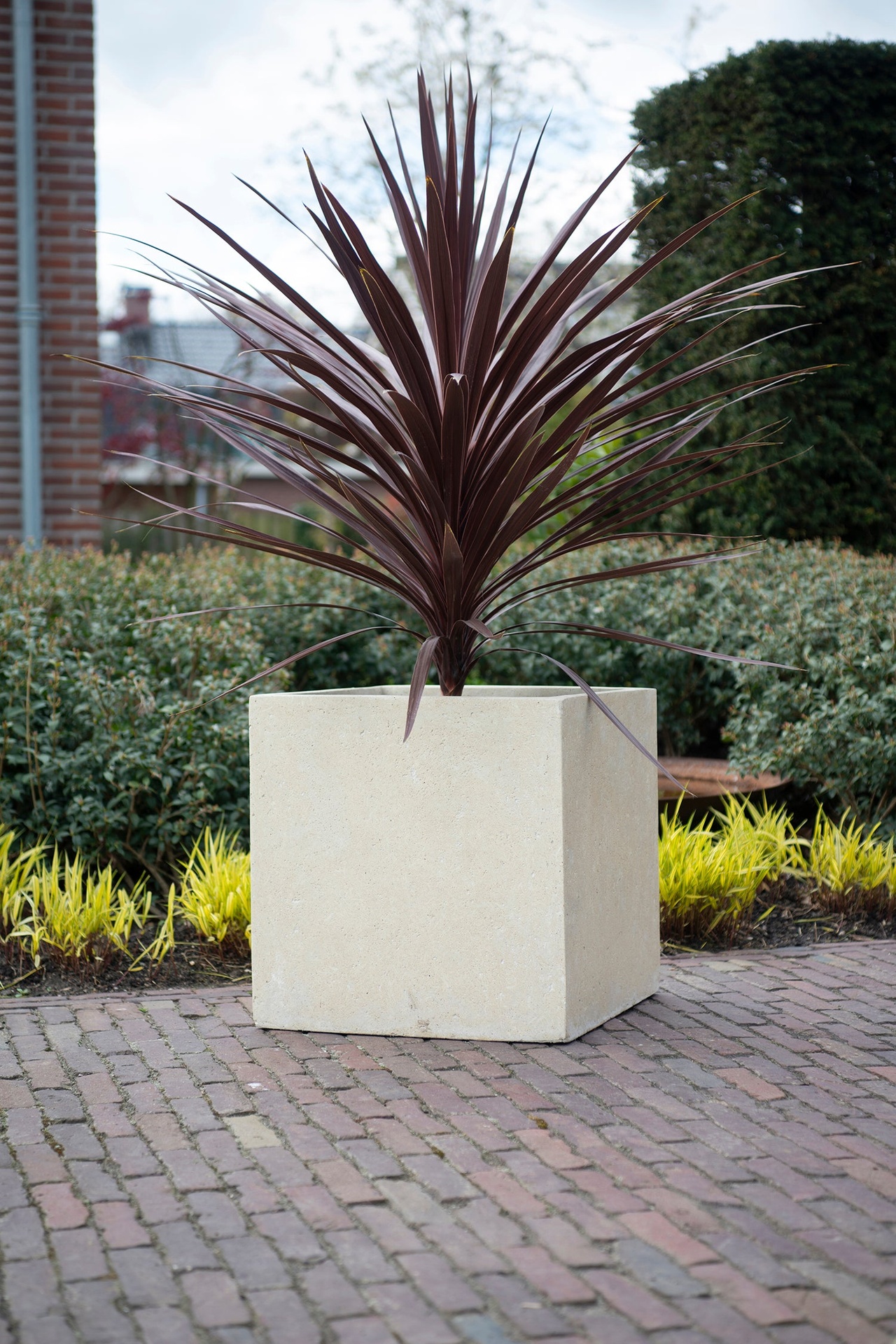 MBShoots_DSC2273_Plantenbakken-Copy