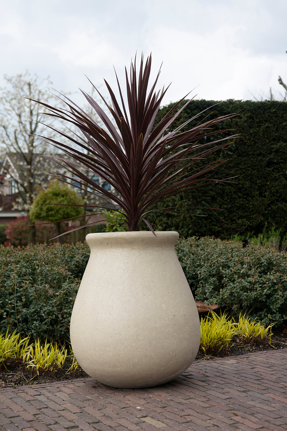 MBShoots_DSC2215_Plantenbakkenweb