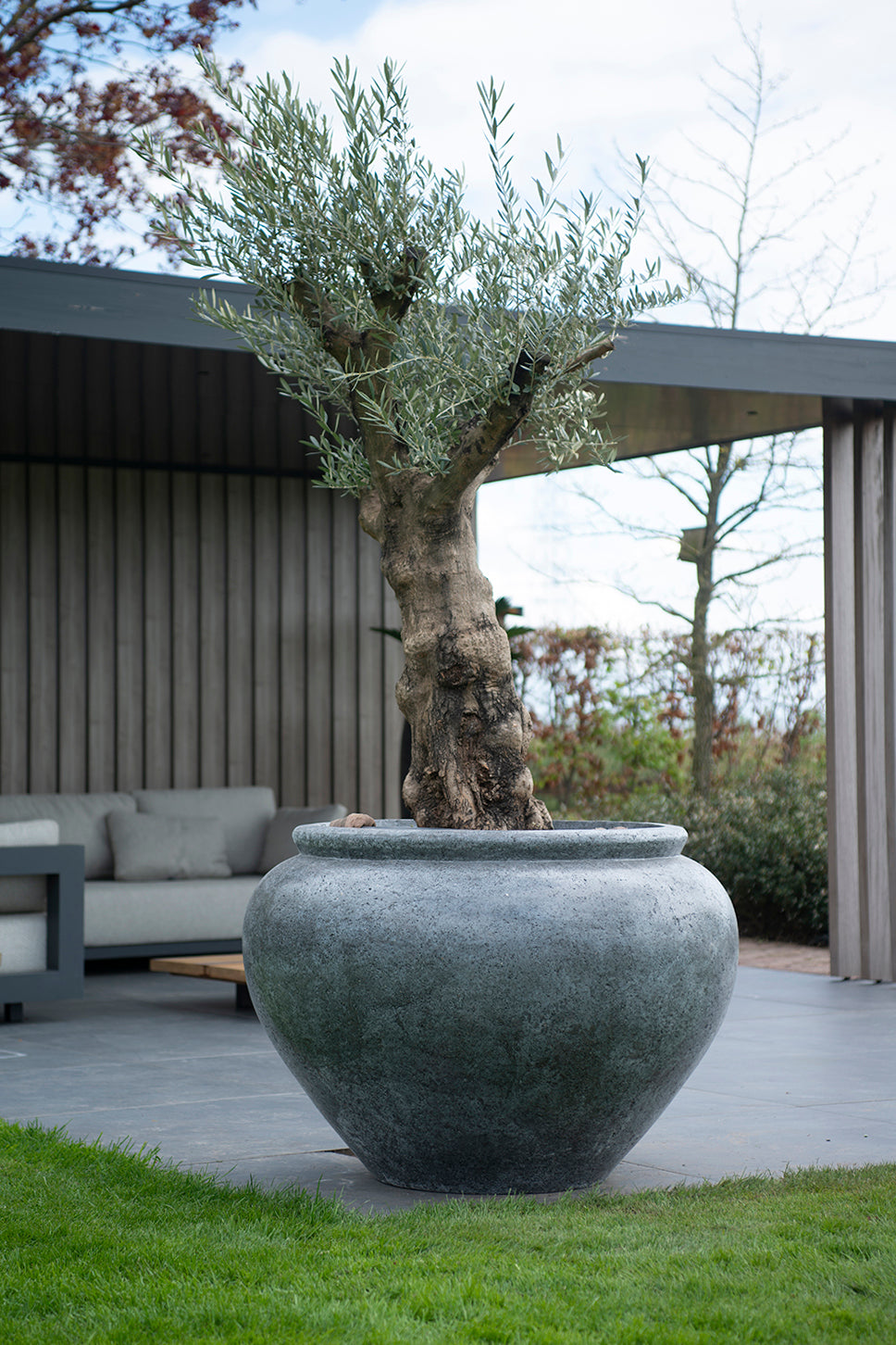 MBShoots_DSC2293_Plantenbakkenweb