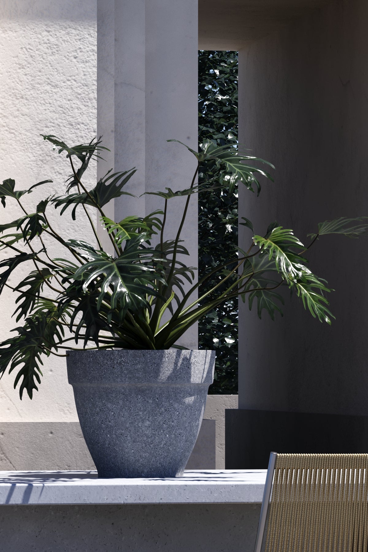 terra_dikey_web