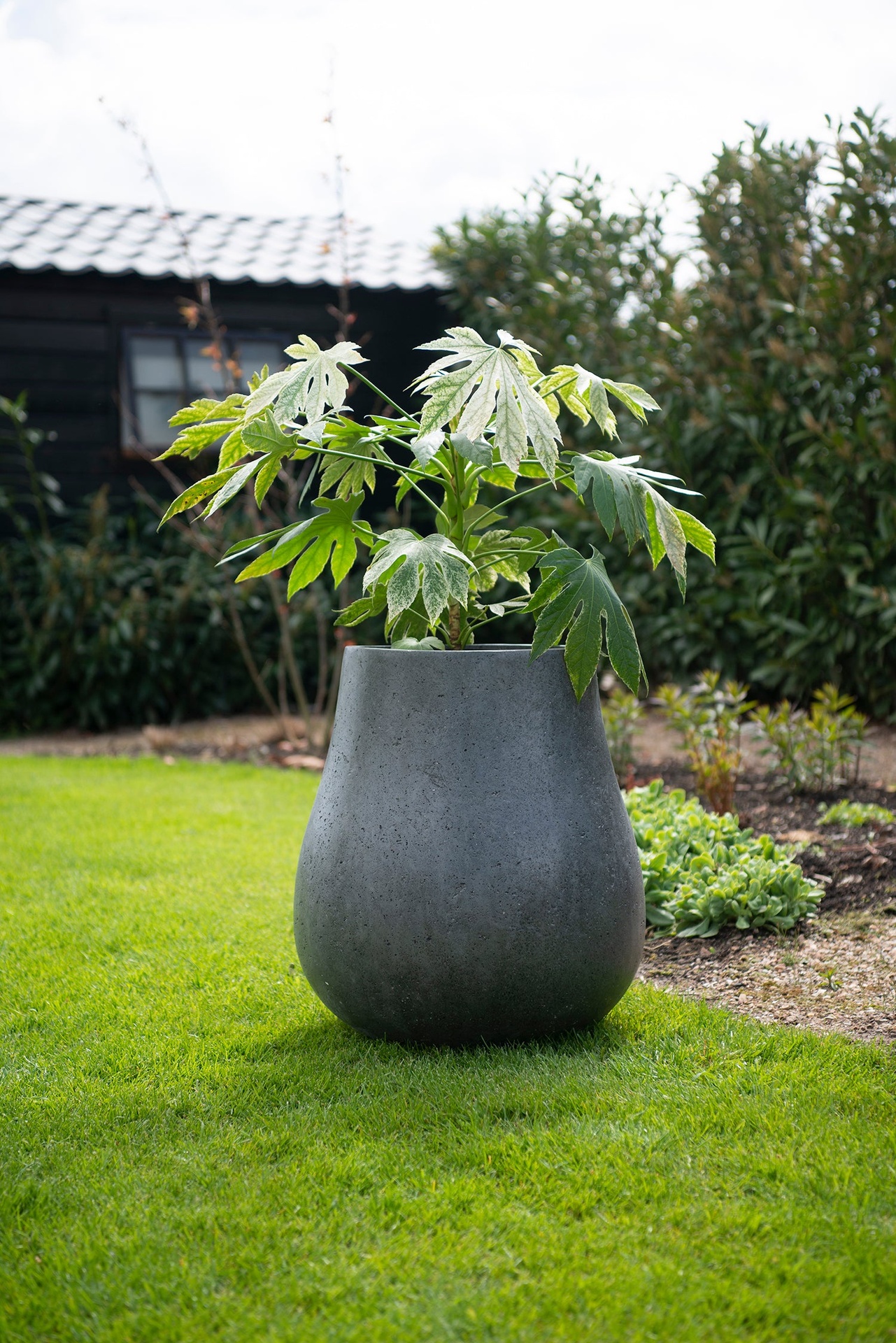 MBShoots_DSC2403_Plantenbakken_web
